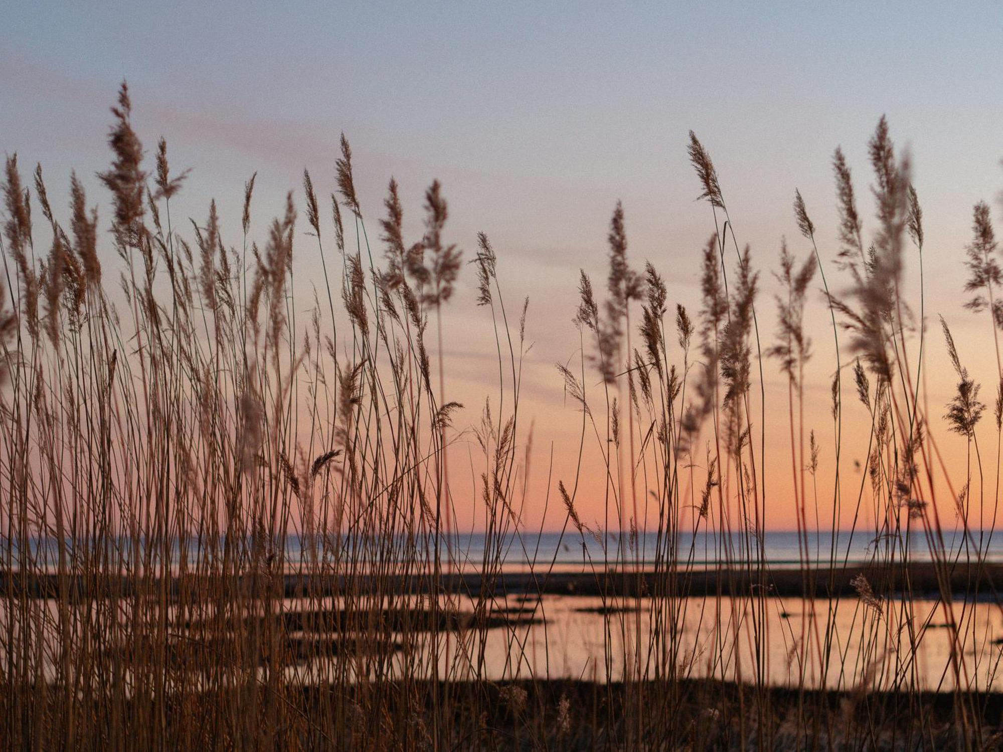 Perka Kodumajutus Haademeeste